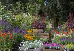 Tre Giorni per il Giardino