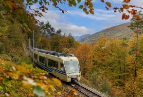 Sui binari d'autunno con il Treno del Foliage®